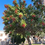 Casa Amigos Apartamento Torrevieja